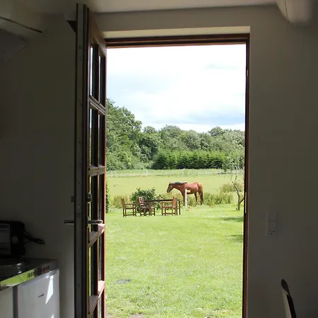 Munkebjerg Bed & Breakfast 3*