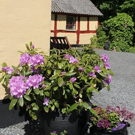 Bed & Breakfast Munkebjerg Børkop