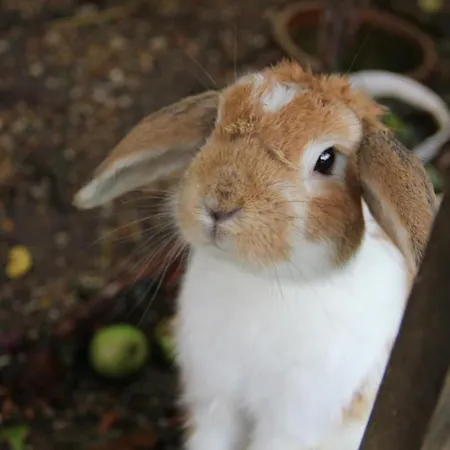 Munkebjerg Bed & Breakfast