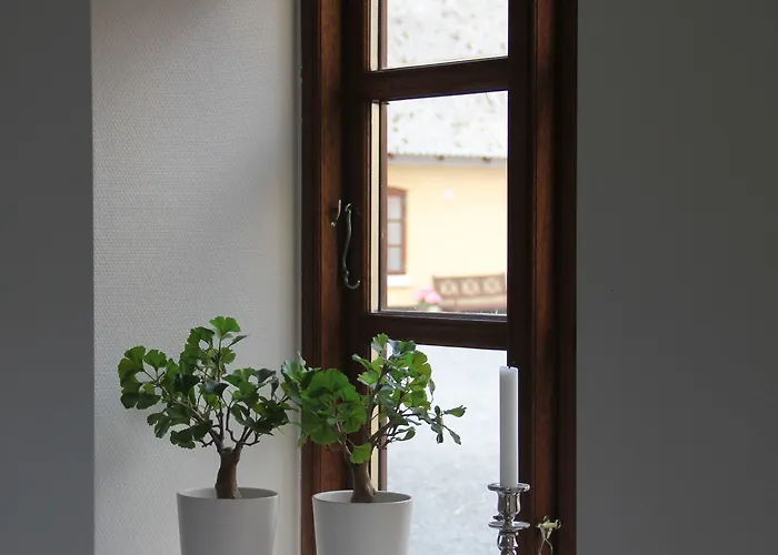 Bed & Breakfast Munkebjerg Borkop